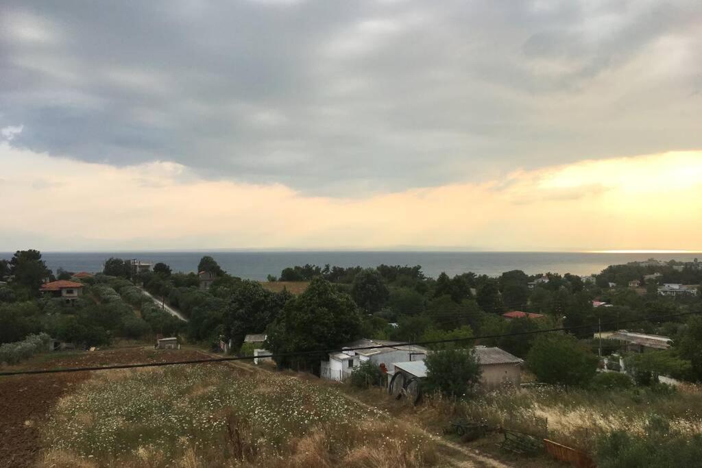 Eva Apartments Palioura Bagian luar foto