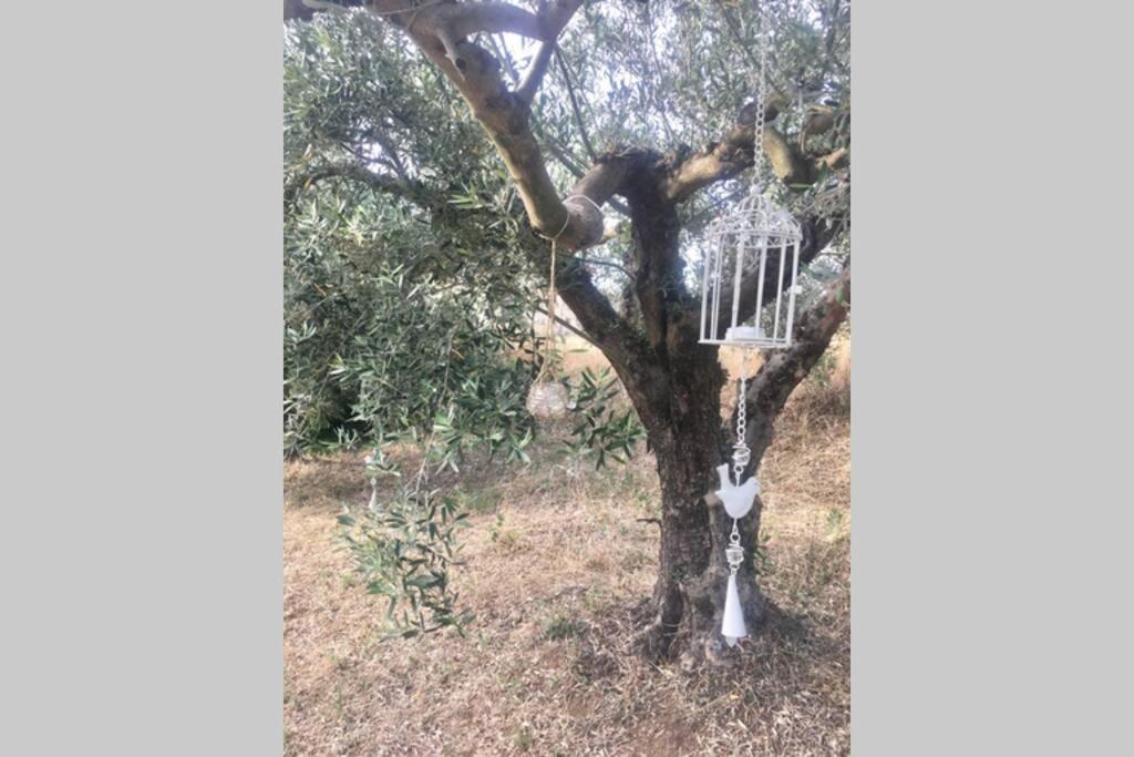 Eva Apartments Palioura Bagian luar foto