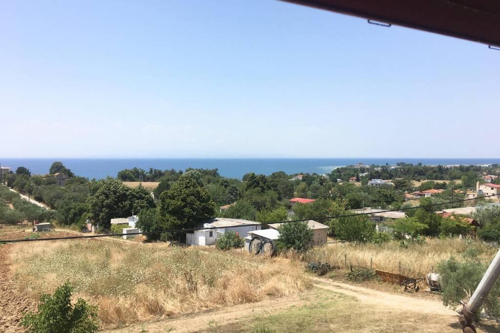 Eva Apartments Palioura Bagian luar foto