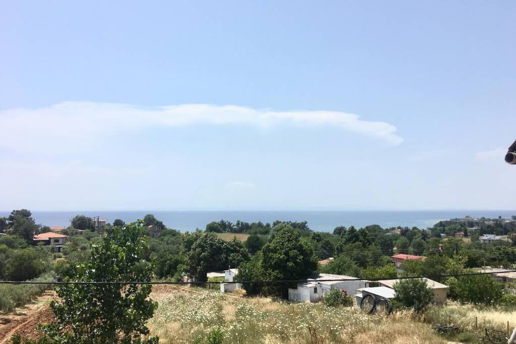 Eva Apartments Palioura Bagian luar foto