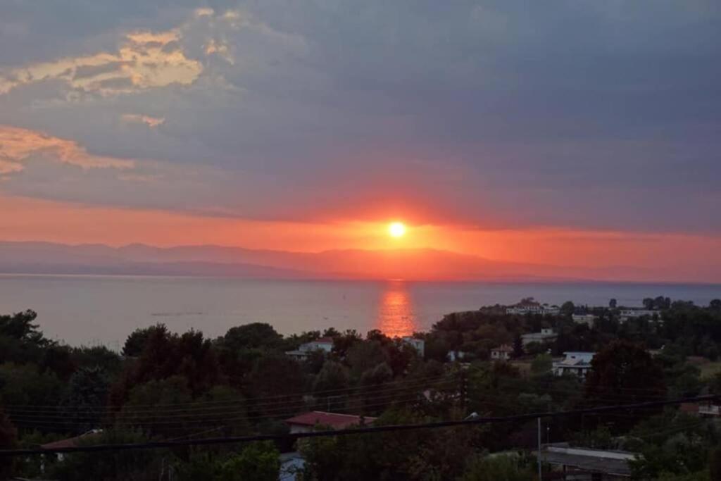 Eva Apartments Palioura Bagian luar foto